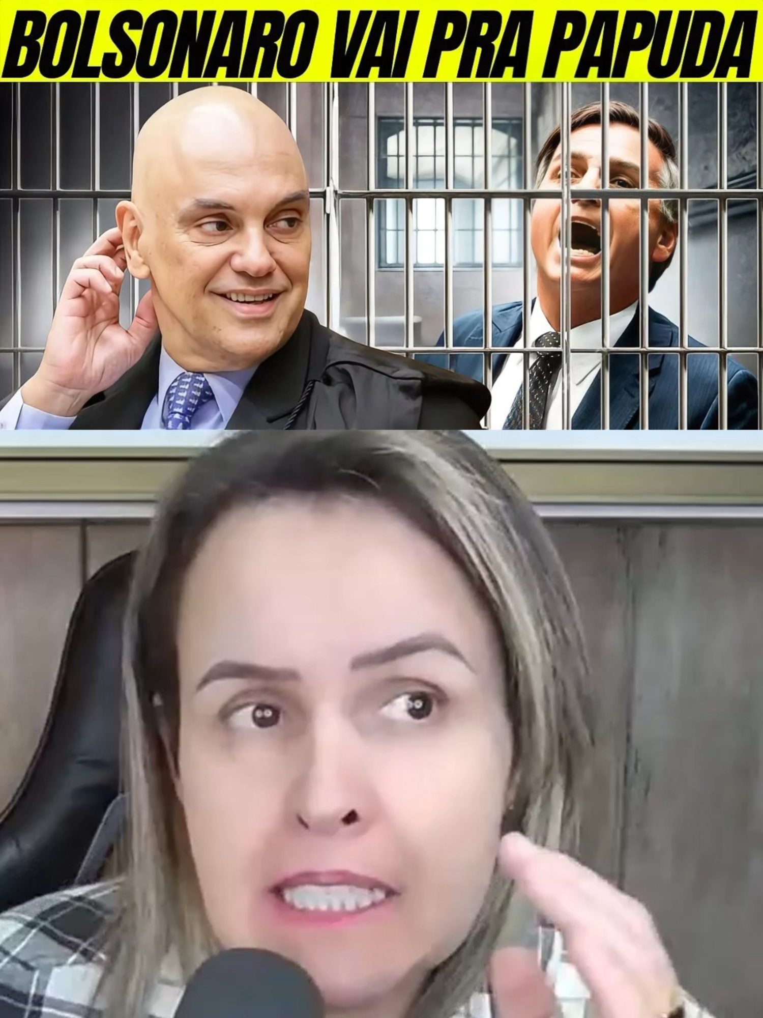 #moraes #bolsonaro #lula #cid #democracia #andréagonçalves #governo