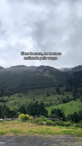 Entiende que nunca le nació #humortiktok #viralllllll #contenido #asieslavida 