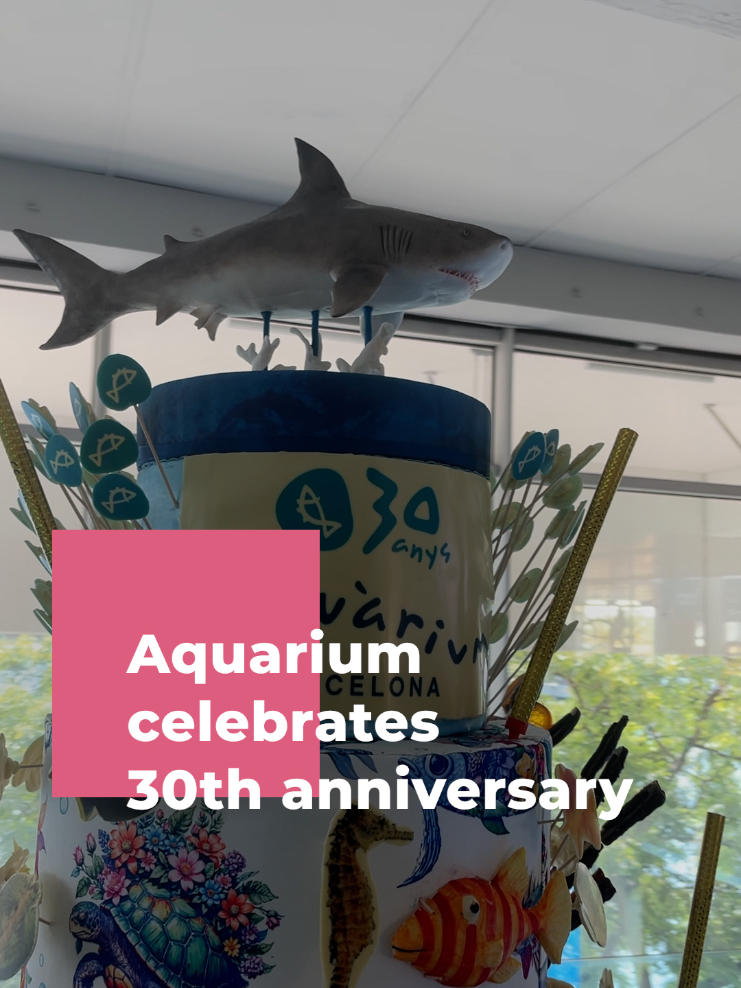 🐠 | The Barcelona Aquarium is celebrating its 30th anniversary this weekend with an agenda full of activities. And you can join in the celebrations too! All weekend, there will be family activities, workshops, and music on at the Maremagnum site in Barcelona’s Port Vell. To mark the occasion, there are discounts of 20% available until September 7, valid for visits all month. @aquariumbarcelona Read more on our website at CatalanNews.com #Aquarium #aqua #marine #marinelife #fish #Barcelona #Catalonia #Catalunya