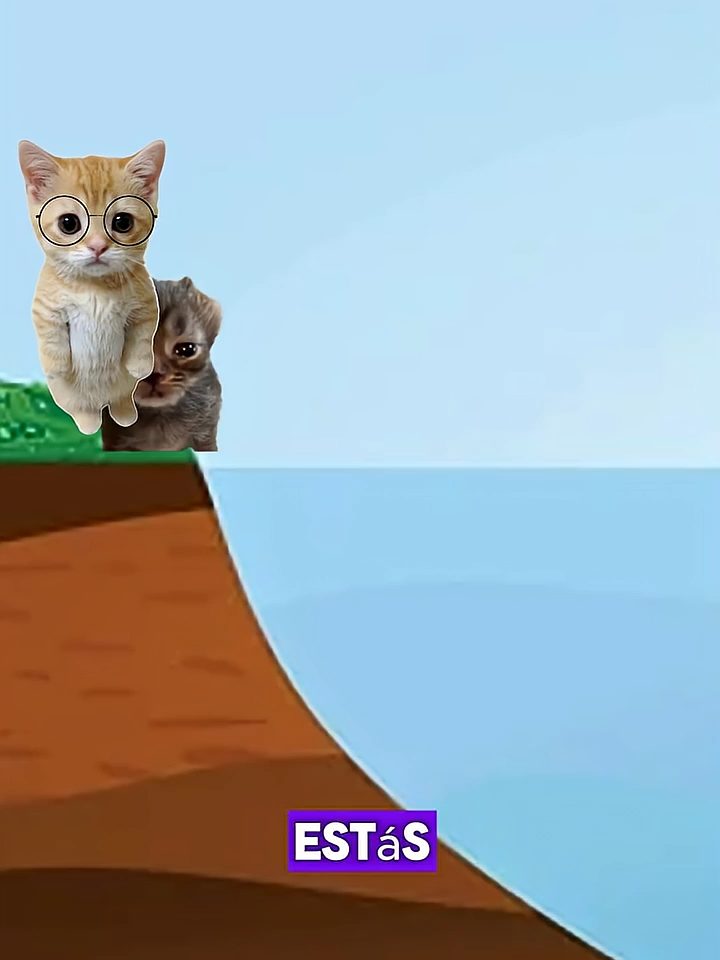 Cómo hacer desaparecer a un gato explicado por gatitos (video humorístico) #gatos