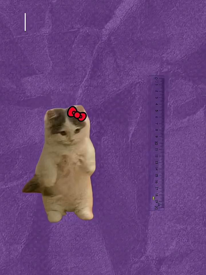 ¿Por qué la altura es importante para las gatas_ (explicado por gatitos) #gatos