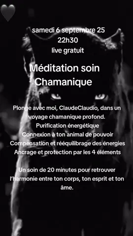 #pourtoi #meditation #chamanique #energetic 