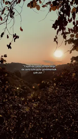 “𝐒ö𝐳 𝐚𝐥𝐚𝐥ı𝐦.”❤️‍🩹#keşfet #story #manzara #viral_video #kesfetteyiz 