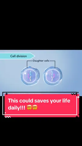 How cell division works! Any students needing help with their  subjects. Let us know and we will make it fun and enjoyable! #science #celldivision #stem #biology 