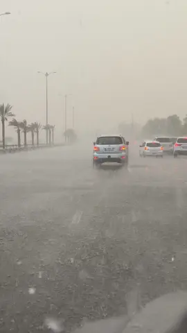 امطار اليوم طريق #العين #دبي 