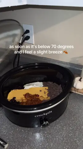 fall is here 🎃 🍁  #fall #fallaesthetic #fallfood #crockpot #fyp 