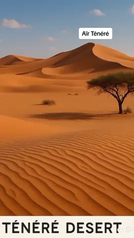 Groupe_Sogha__-_Air_Ténéré_lyrics_by_ahg_lyrics #groupesogha #soghaniger #soghaniger🇳🇪 #soghaniger🇳🇪samarin #aïr🇳🇪 #tenere #agadez #agadez_guida🤩 #agadez🇳🇪 #agadezculture #agadeztiktok #sahara #saharaofmorocco🇲🇦 #niger #niamey #niameyniger🇳🇪💃🏻🔥 #niameyniger🇳🇪🇳🇪🇳🇪🇳🇪💃🏻🔥🔥🔥 #niameytiktok #niameyniger🇳🇪 #cultureniger #cultureniger🇳🇪 #culturenigerienne #culturenigerienne @AHG_LYRICS 