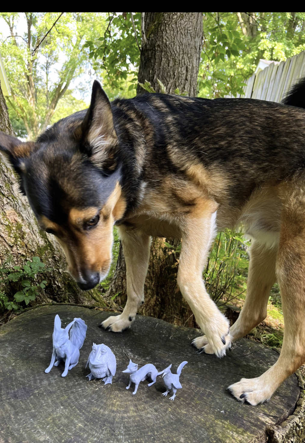 Tested some new alien animal prints dropping soon! Marshall wanted to get in the frame for size reference 🥰 