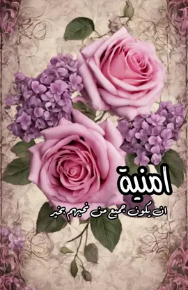 #مساء_الخير #ذوق #fypシ゚ #viral #foryou 