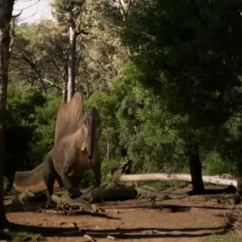 DINOSAURS RAH #dinosaurs #spinosaurus #trex #edit #fyp 