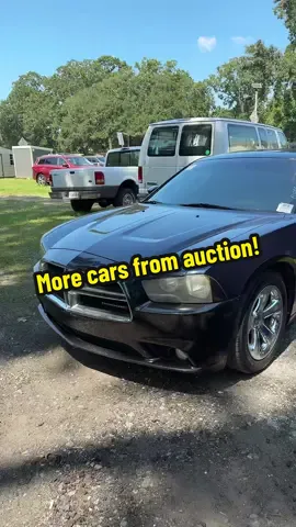 Got some cars in. What yall think? #CarTok #TikTokAutoCampaign #CarReview #CarMechanic #CarTips 