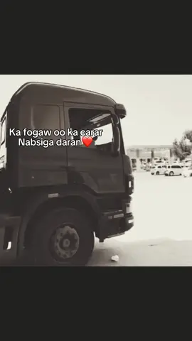 .❤️#somaliland #films #hargeisa #somallywood #somali 