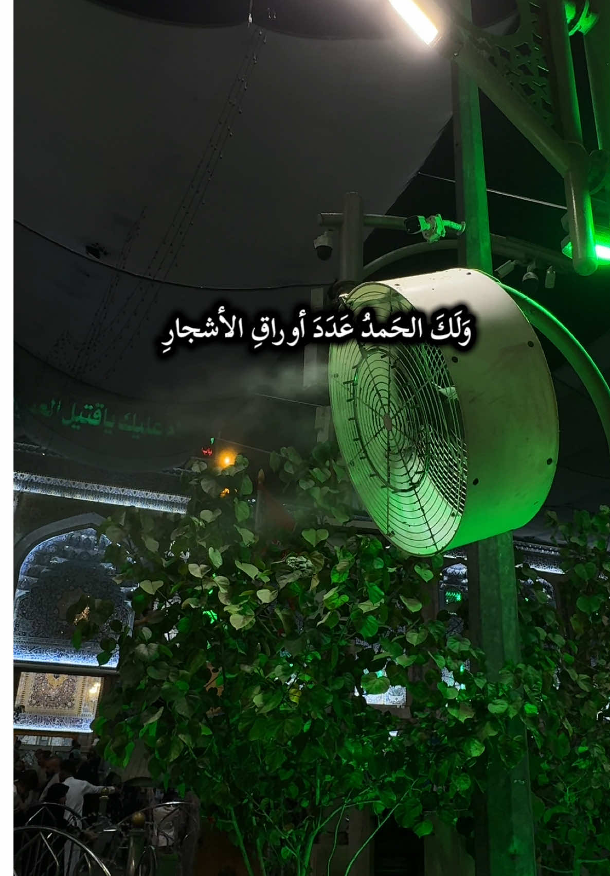 دعاء العشرات #اللهم_لك_الحمد_ولك_الشكر #دعاء_يريح_القلوب #القارئ_حسين_غريب #لا_اله_الا_الله #اللهم_صل_على_محمد_وآل_محمد 