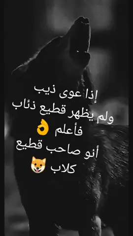 #شعب_الصيني_ماله_حل😂😂 #الجميع 