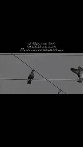 🖤🕊.#acc #foryou #foryoupage #fyp 
