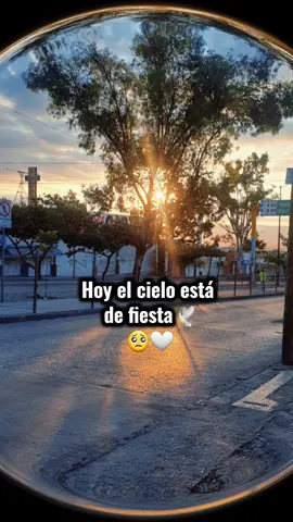 #💔 #abuelo #abuelito #hastaelcielo #felizcumpleaños #viral #catcut #yoteextrañare #🕊️🤍 #🕊️ 