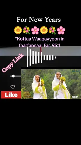 #foryoupage #creatorsearchinsights #foryou #fyp #duet 