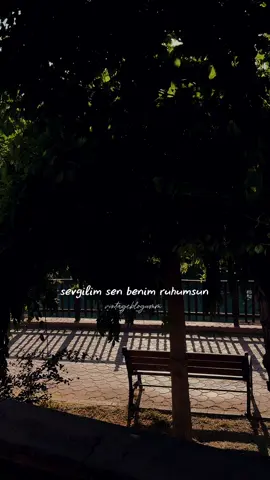 “sensin” #aşk #sevgi #CapCut #keşfetteyizzz #keşfetedüş 