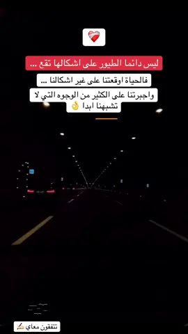 ليس دائما الطيور على اشكالها تقع 👍🏻 #خواطر  #explore 