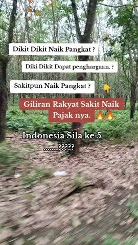 #Ripkeadilan #RipDemokrasi  #Dpr #koruptor #prayforindonesia 
