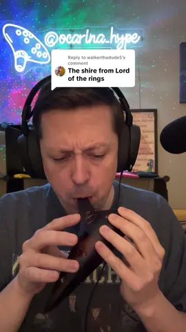 Replying to @walkerthedude5 #ocarina #lotr #lordoftherings #moviemusic #theshire 