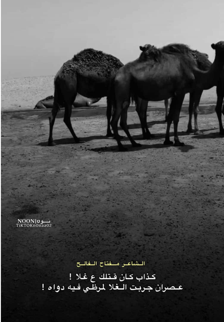 _مانيش كيف زمان الي فات ! _مات اوبات ماضي كان ! #الشاعر #مفتاح_الفالح  #شعراء_وذواقين_الشعر_الشعبي #ليبيا #طبرق 
