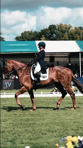 𝑫𝒂𝒚 𝑻𝒘𝒐 𝑺𝒉𝒊𝒏𝒆𝒔 𝑩𝒓𝒊𝒈𝒉𝒕 ☀🤩 Day Two of dressage wrapped up in style 🌞 The sun was shining, the crowds were buzzing, and every rider brought their A-game to the arena. Oliver Townend now leads the way after another thrilling day 🐎✨ Who’s excited for cross country day?🌿   #HorseTrader #YourDigitalYardForAllThingsEquestrain #BurghleyHorseTrials #Eventing #Horse 