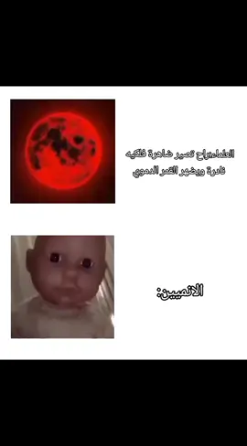 بس الانميين راح يفهمون🗿#عراقيين #2020 #فاطمة_لمحاربة_الكرنج #ام_جاسمية🇮🇶 #انمي 
