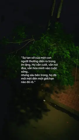 Cuộc đời có trăm lần cẩn trọng cũng nên một lần vấp ngã..#baoan_2007 #story #tamtrang #buon #xuhuongtiktok 