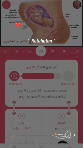 #CapCut اللهم هون علي حملي و يسر لي ولادتي #حملي #حمل #ولادة #عملية_قيصرية 