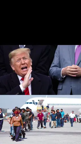 Ya es oficial el gobierno de Donald Trump acaba de anunciar algo histórico el día de hoy para los inmigrantes con permiso de trabajos #noticiasdeusa #eeuu #nashville #donaldtrump #inmigrantes 