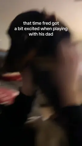 right in the mouth #fyp #funny #dogsoftiktok #dachshund #foryou 