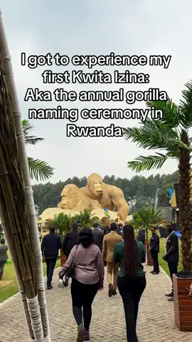 Today (9/5/25) was the 20th Kwita Izina in @VisitRwanda. Here’s 30 seconds from the special day. This is a special day because it highlights the conservation efforts of mountain gorillas. They were set to be extent by 2000 and now they total over 1000 of them in the Rwanda, Uganda, and DRC volcanic mountains.  Today, 40 baby gorillas were named, following a tradition in Rwandan culture of naming their children in front of their community. 