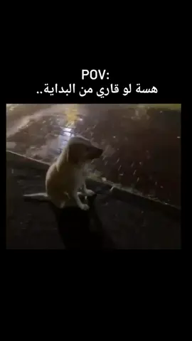 #94245anaya #سادس #ثالثيون 