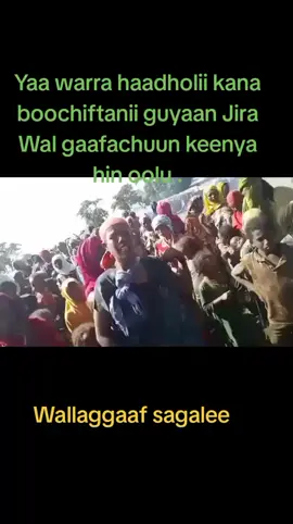 #creatorsearchinsights #LanguageLearning #oromotiktok❤️💚❤️ethiopiantiktok welaga TikTok sagalee uummataaa
