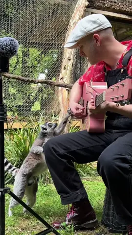 J’étais entouré à la fin 😭❤️ #animaux 