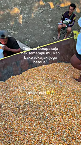 begitu maksud ku😆🤣#storywhatsapp #storybugis #katakata #sarimiisi2lebihenakbray #fyp 