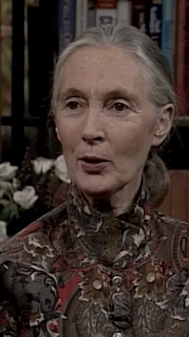 In 1960, Goodall witnessed chimpanzees in the act of making and using tools—an ability previously believed to be exclusive to humans. Her discovery helped reshape the ways humans understand animals.