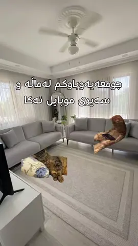 ئاخیر سەوتیشی ئەکا #foryoupage #activbn🤍 #hawler_slemani_dhok_karkuk_hallabja #edit #kurdish 