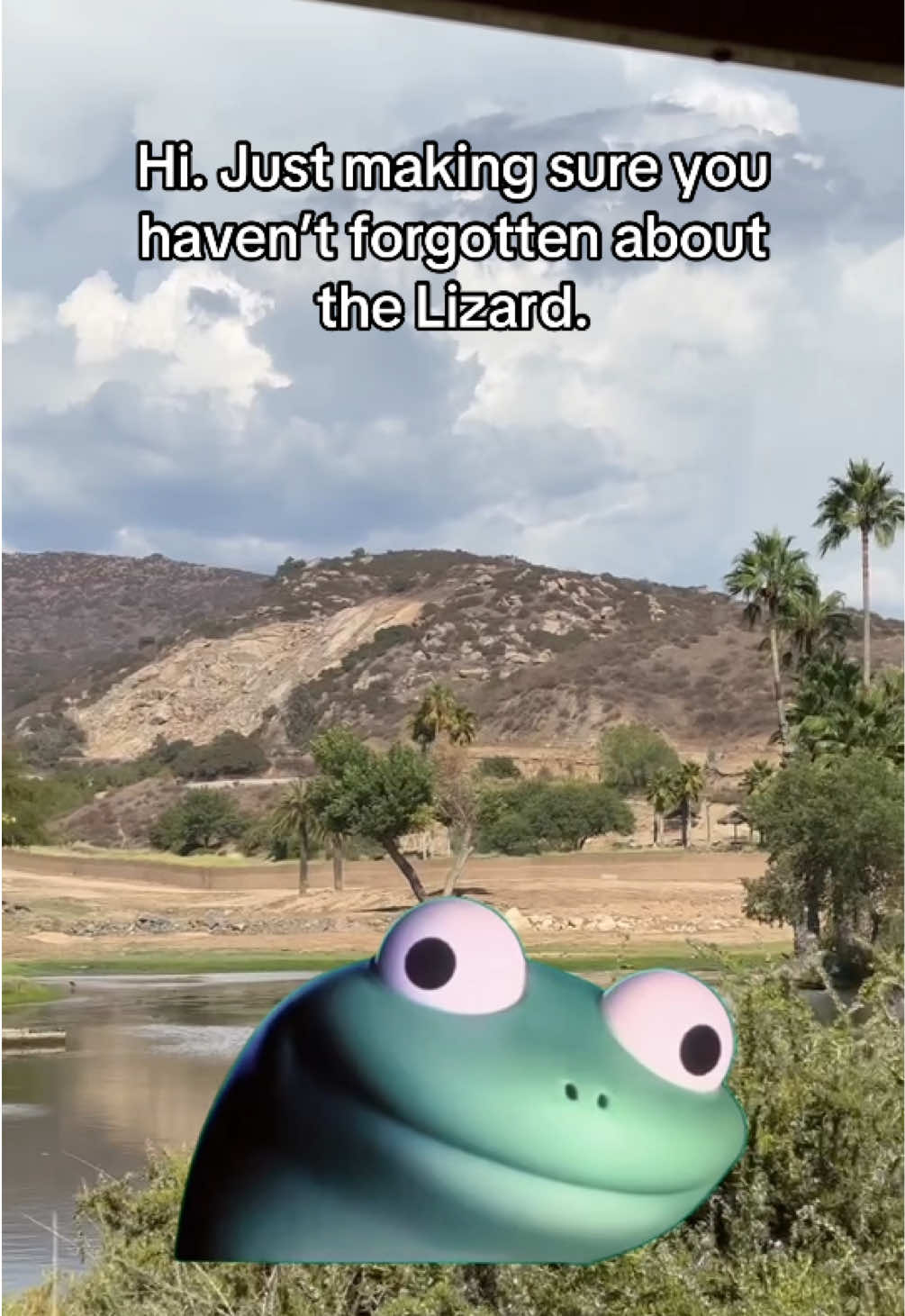 Don’t forget. #lizard #meme #lizardtok #fyp #viral 