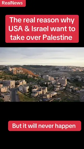 The real reason why Isreal and USA want to take over is because of these precious metals they want #palestine🇵🇸 #gaza #fyp 