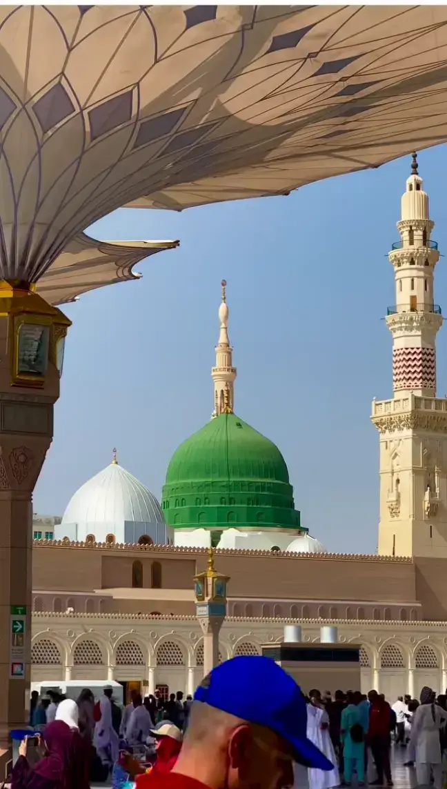 Falak K Nazaro || Zameen Ki Baharo || Rabi-UI-Awal Status || 12 Rabi-UI-Awal Status || Islamic Video || New Beautiful Islamic Status 2 || Tiktok Islamic Video || New Whatsapp Status || Islamic Video##fypシ゚viral🖤tiktok #viralvideo #unfrezzmyaccount🙏🙏🙏🥺 #tiktok #viral 