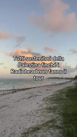 #freepalestine #radiohead 