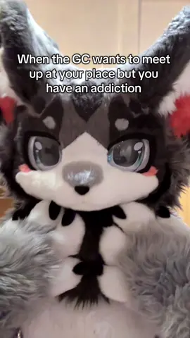 You can’t come over sorry #furry #fursuit #kemono #kigurumi #furrymeme 
