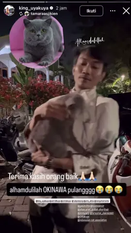 Alhamdulillah okinawa sm dallas udah ketemu 🫶🏻#kucinguyakuya #catlover 