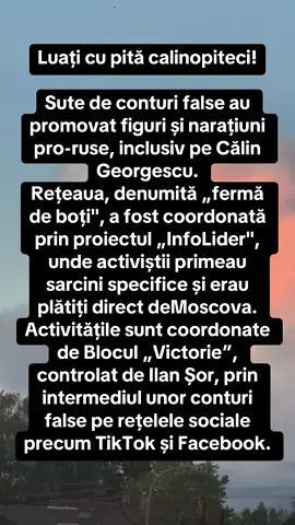 Uite cum apar dovezile! #romaniasuverana🇹🇩🇹🇩 #poporulroman🇷🇴 #patriotiidecarton #dovezi #fyp 