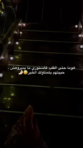 #سكيكدة_الزينة_و_حنا_فيك_تربينا🍓 ##creatorsearchinsights #المولد_النبوي_الشريف 