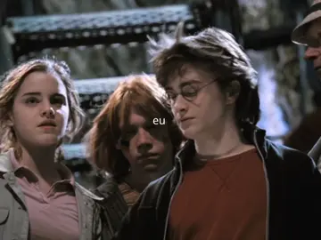 ib:@Dani ! 🃏 #harrypotter #viral #fyyyyyyyyyyyyyyyy #potterhead #fyp 