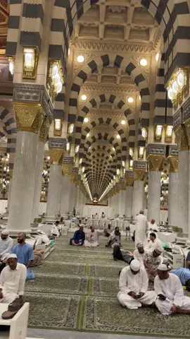 World Most Beautiful Sound 🇮🇳#foryoupage #madina #makkah #tiktokindia #tiktoksaudiarabia 