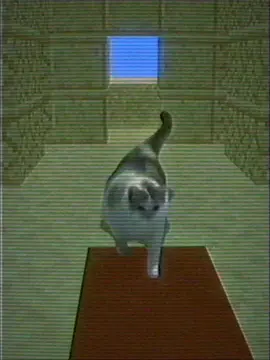 #cat #Minecraft 